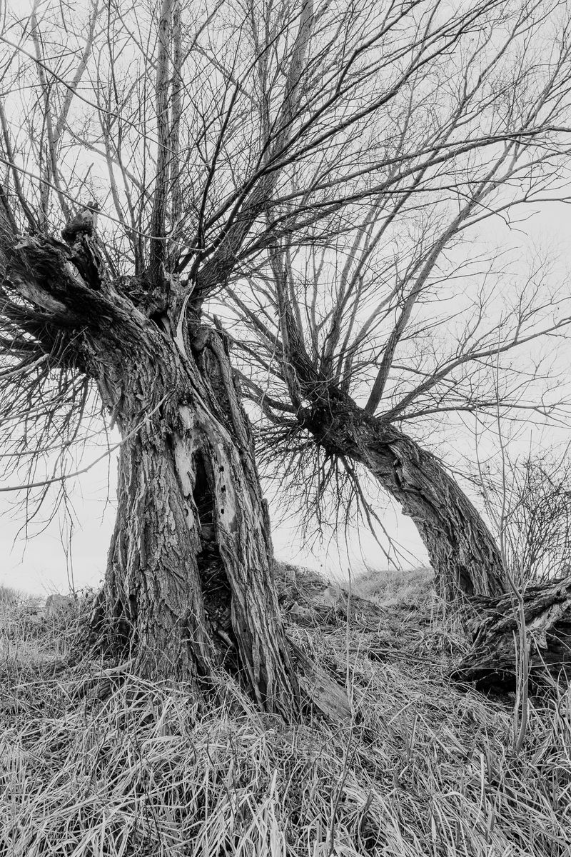 © András Á. Cséfalvay - Image from the I Feel The Weight Of The Clouds photography project
