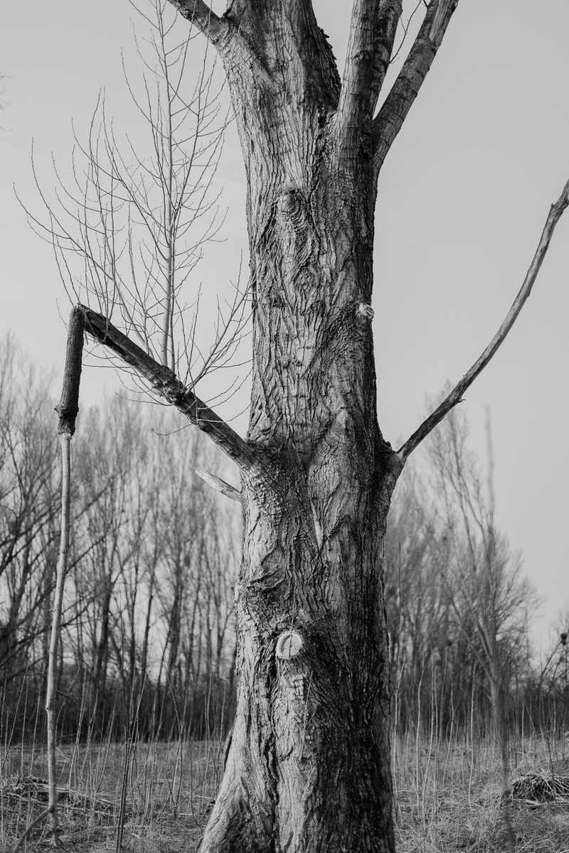 © András Á. Cséfalvay - Image from the I Feel The Weight Of The Clouds photography project