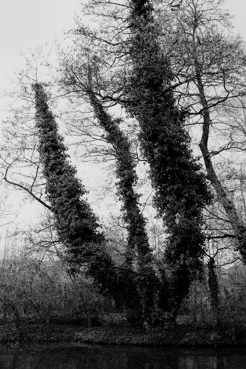 © András Á. Cséfalvay - Image from the I Feel The Weight Of The Clouds photography project