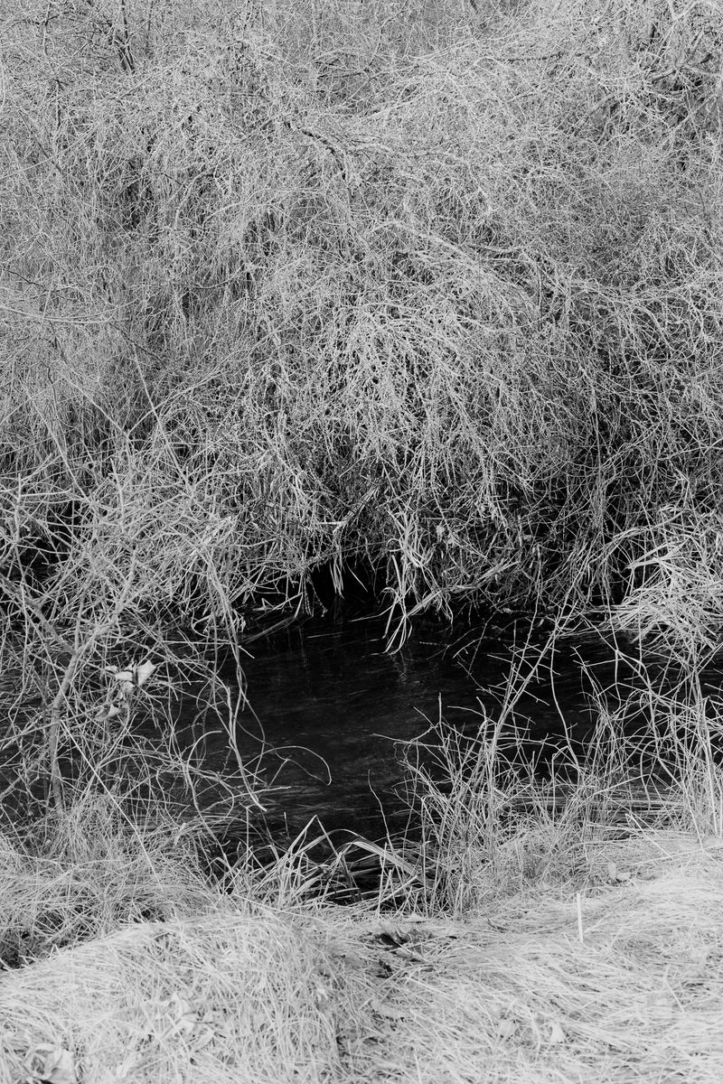 © András Á. Cséfalvay - Image from the I Feel The Weight Of The Clouds photography project