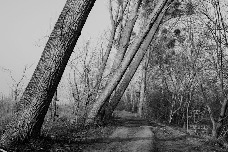 © András Á. Cséfalvay - Image from the I Feel The Weight Of The Clouds photography project