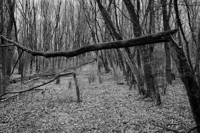 © András Á. Cséfalvay - Image from the I Feel The Weight Of The Clouds photography project