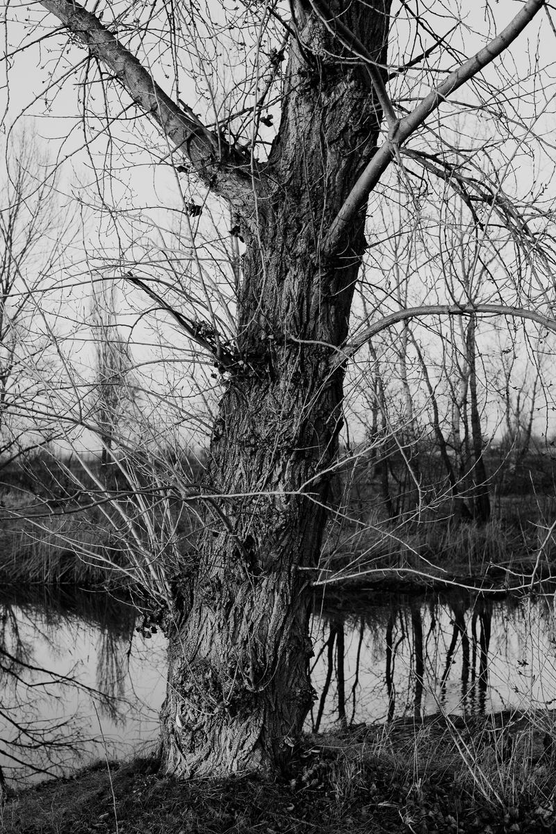 © András Á. Cséfalvay - Image from the I Feel The Weight Of The Clouds photography project
