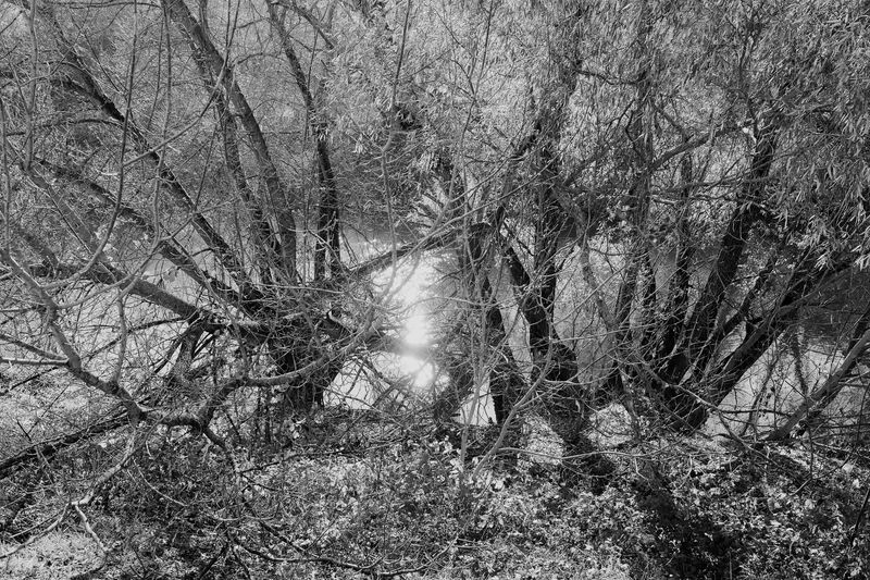 © András Á. Cséfalvay - Image from the I Feel The Weight Of The Clouds photography project