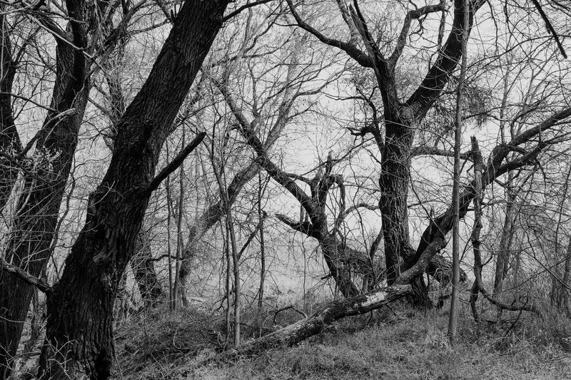 © András Á. Cséfalvay - Image from the I Feel The Weight Of The Clouds photography project