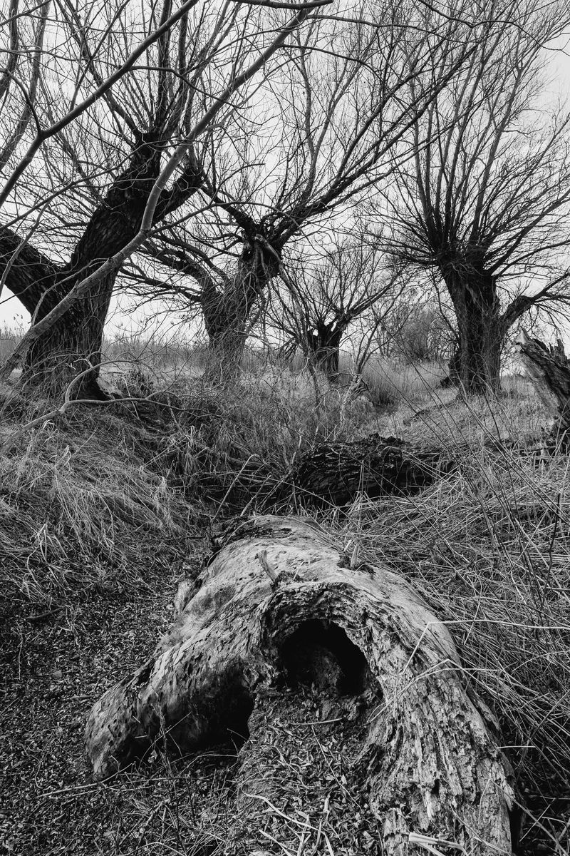 © András Á. Cséfalvay - Image from the I Feel The Weight Of The Clouds photography project