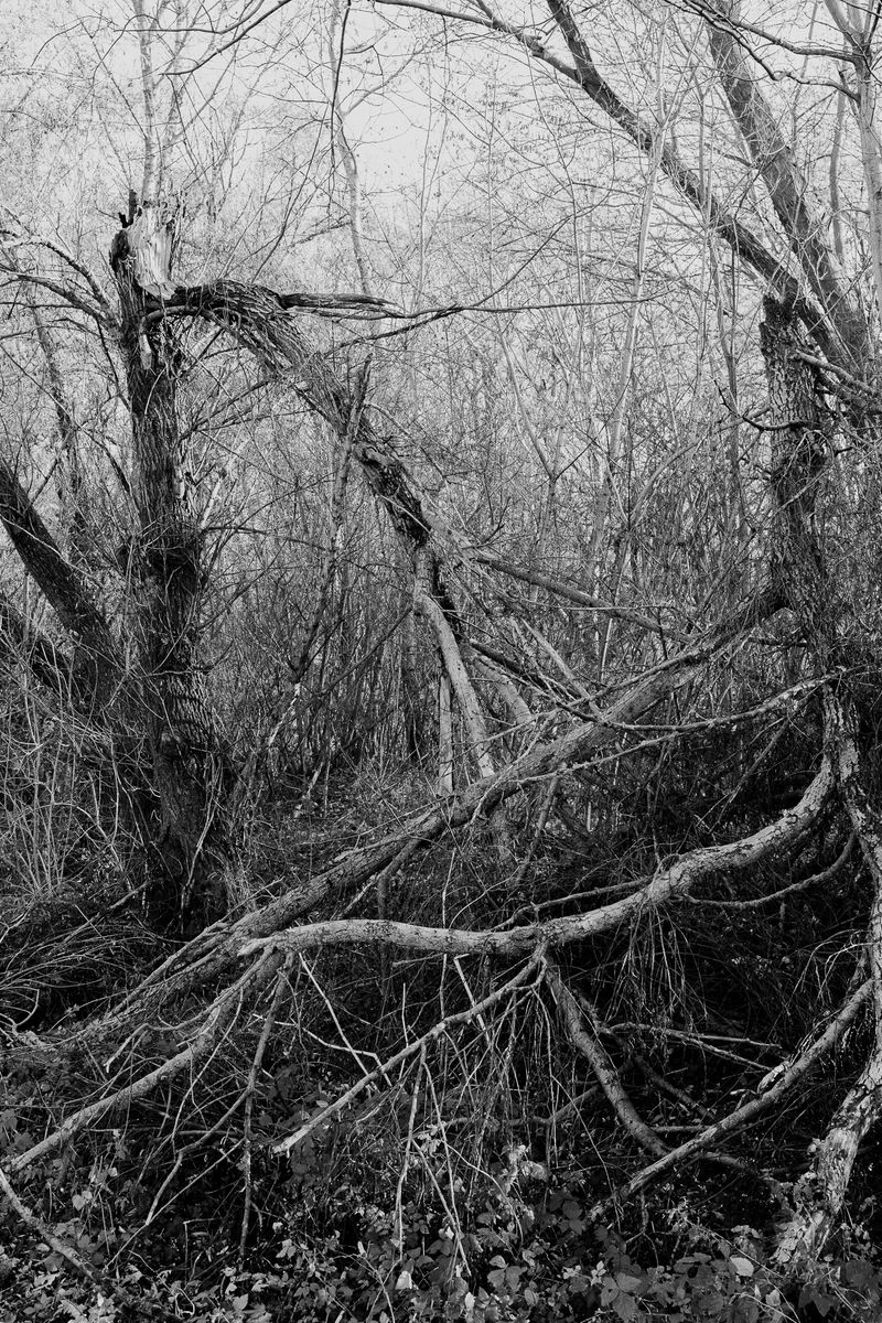 © András Á. Cséfalvay - Image from the I Feel The Weight Of The Clouds photography project