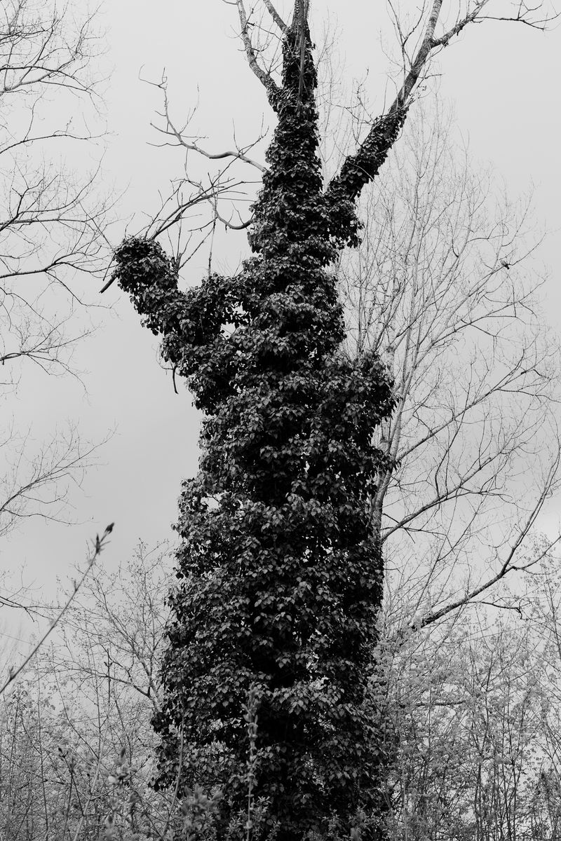 © András Á. Cséfalvay - Image from the I Feel The Weight Of The Clouds photography project