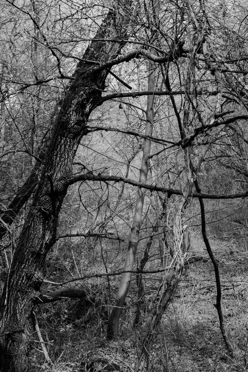 © András Á. Cséfalvay - Image from the I Feel The Weight Of The Clouds photography project