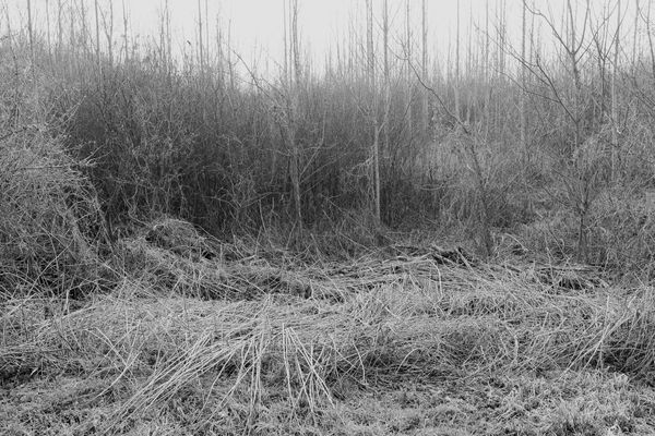 © András Á. Cséfalvay - Image from the I Feel The Weight Of The Clouds photography project