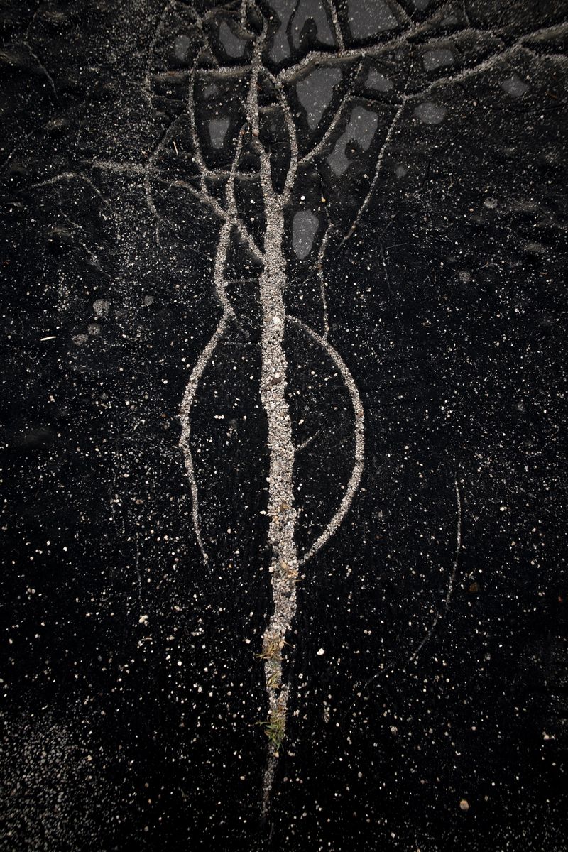 © András Á. Cséfalvay - Image from the Traces photography project