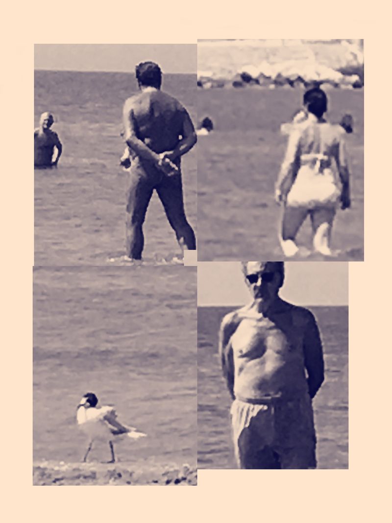 © GIUSEPPE FRANCAVILLA - The users