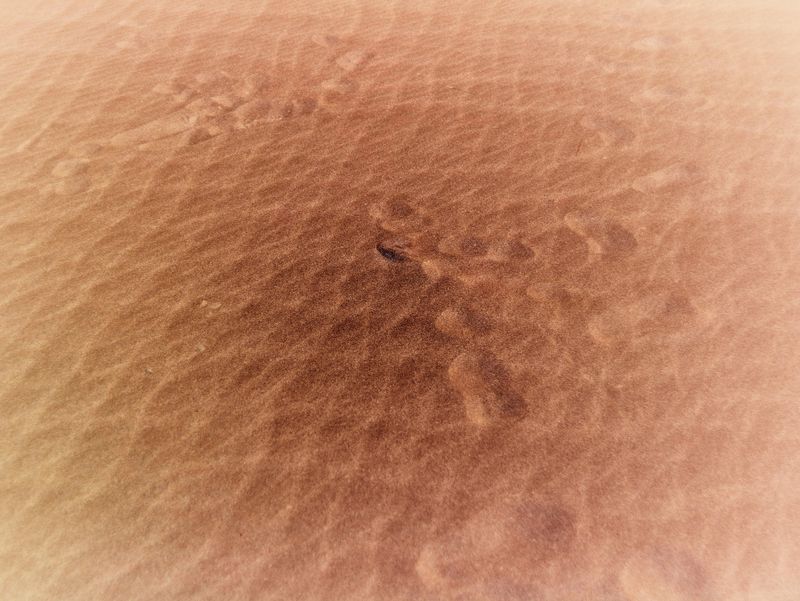 © GIUSEPPE FRANCAVILLA - Human traces