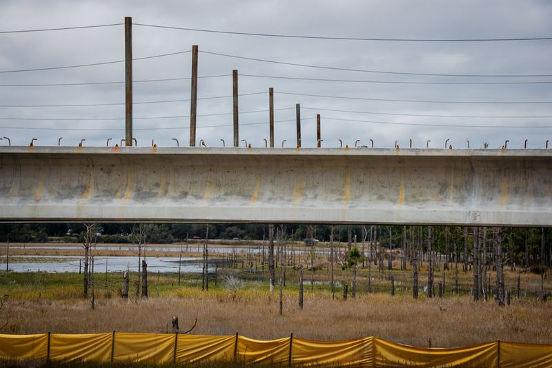 © Steven Benson - Wetlands are at risk when large infrastructure projects are implemented.