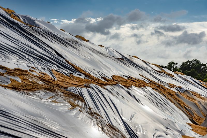 © Steven Benson - Ground cover to reduce erosion.