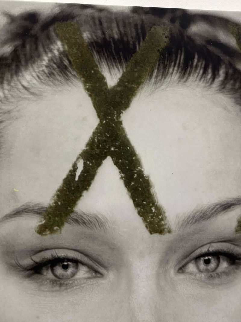 © Luca Massaro - (detail) Bella XXX, Milano/Brescia - Double Latex on unprimed linen canvas