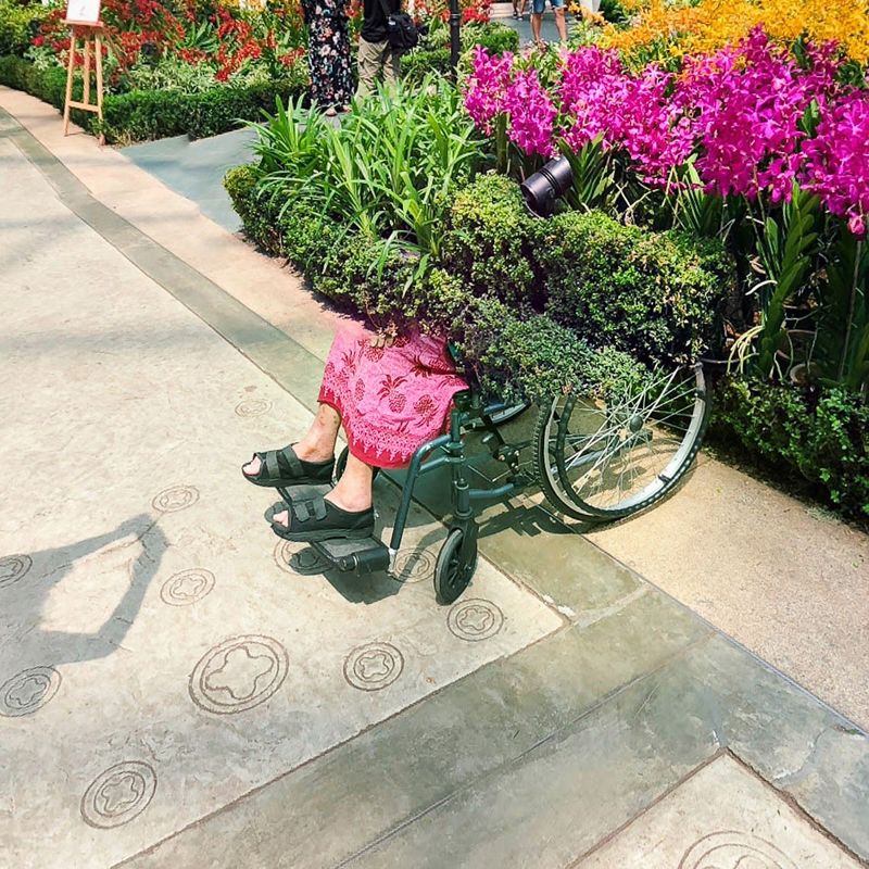 © Utu-Tuuli Jussila - Elder Flowers (2018)