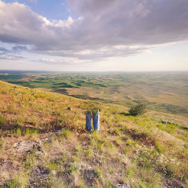 © Utu-Tuuli Jussila - Der Wanderer (2018)