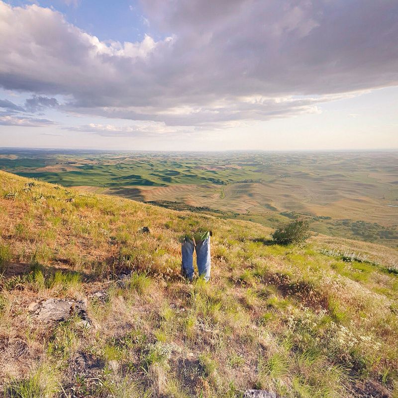 © Utu-Tuuli Jussila - Der Wanderer (2018)