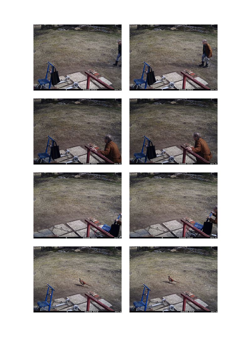 © Utu-Tuuli Jussila - 30/04/2016 (2022)