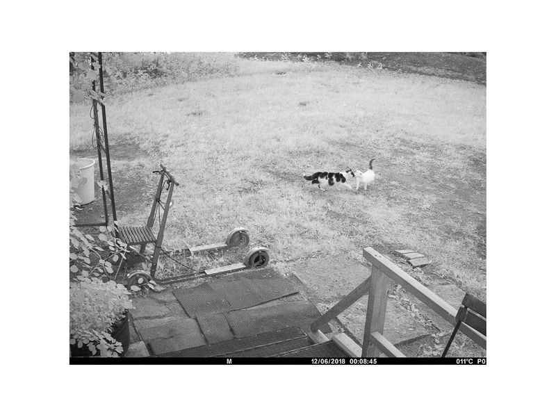 © Utu-Tuuli Jussila - 12/06/2018 (2022)