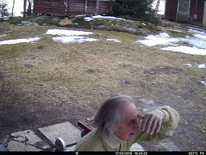 © Utu-Tuuli Jussila - 17/03/2016 (2022)