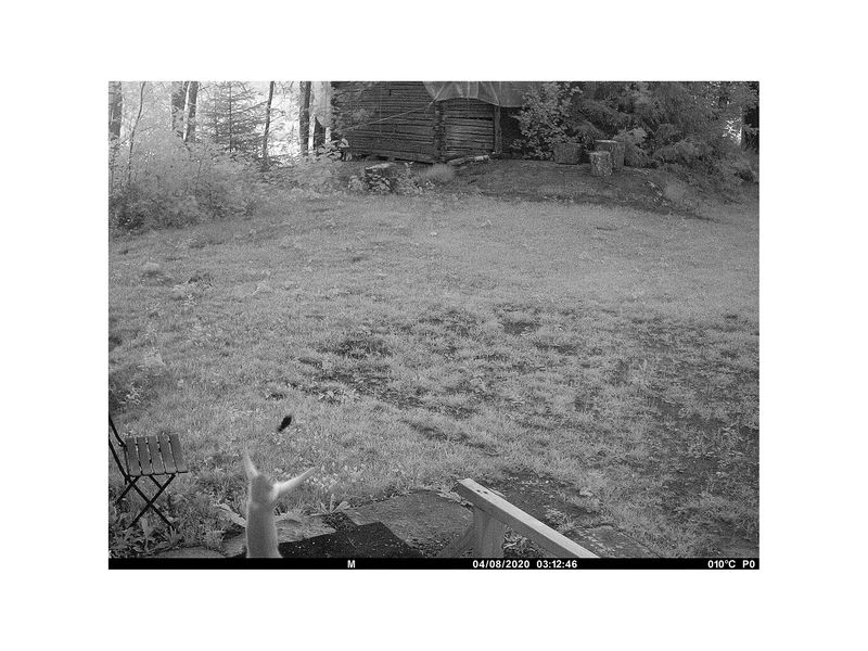 © Utu-Tuuli Jussila - 04/08/2020 (2022)