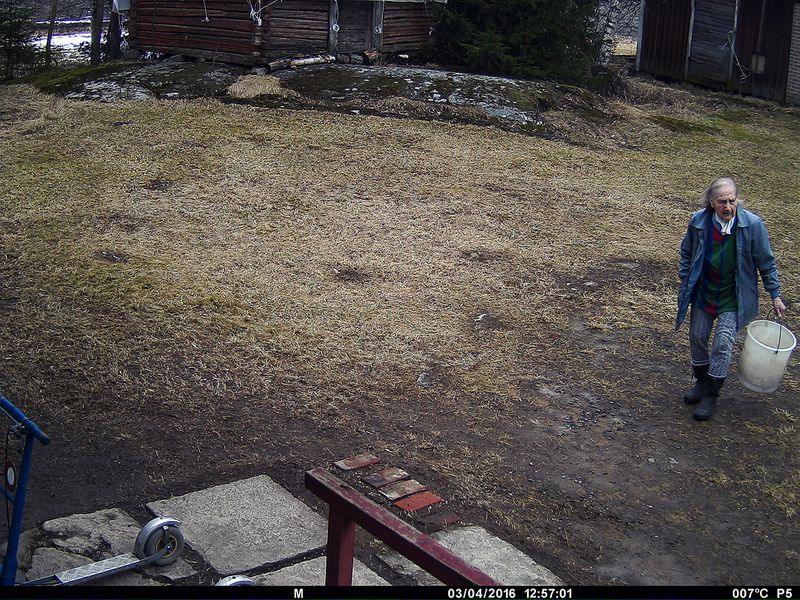 © Utu-Tuuli Jussila - 03/04/2016 (2022)