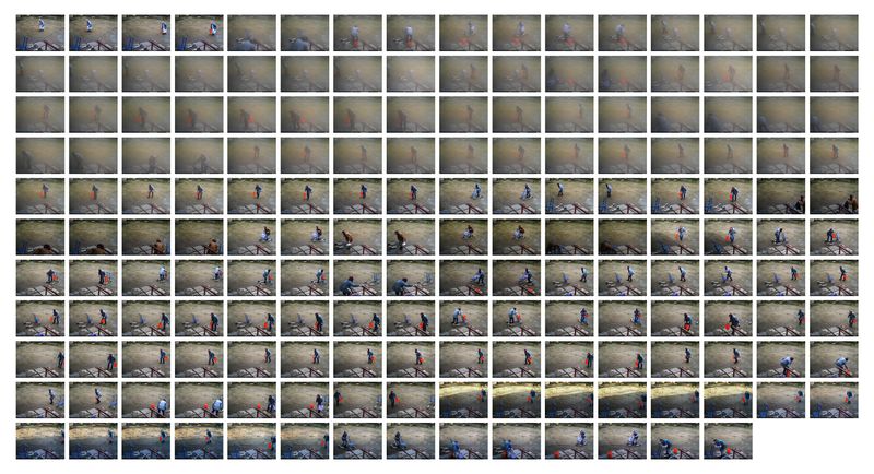 © Utu-Tuuli Jussila - 27/04/2016 (2023) all the images from one day in the yard