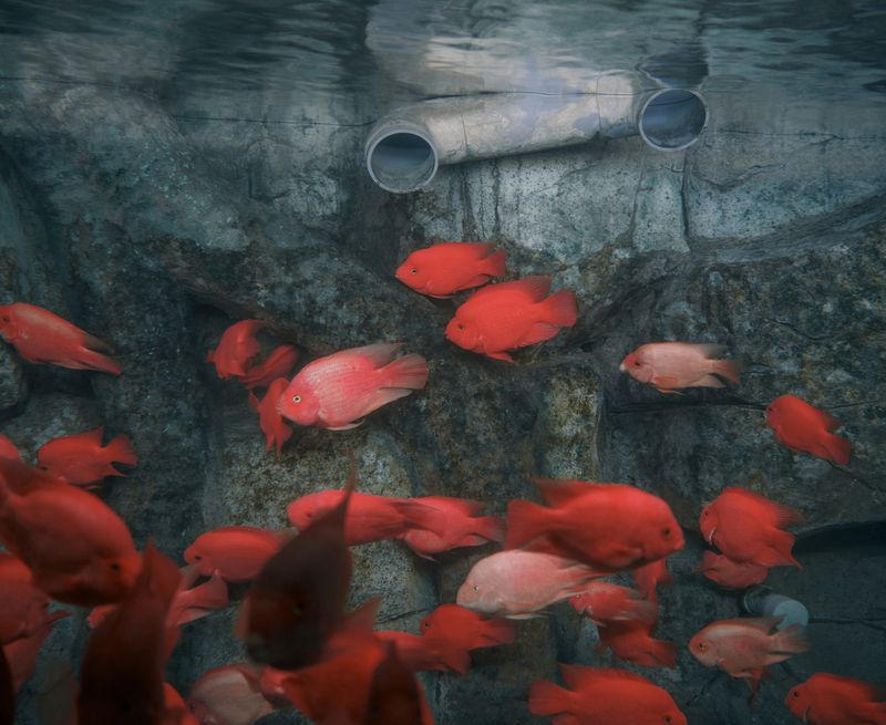 © Zed Nelson - ©Zed Nelson / from the series ‘The Anthropocene Illusion’