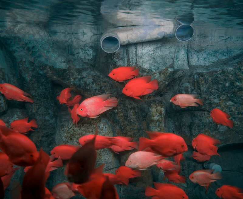 © Zed Nelson - ©Zed Nelson / from the series ‘The Anthropocene Illusion’