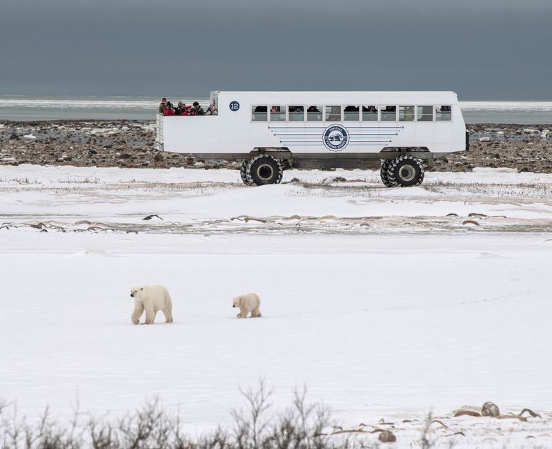 © Zed Nelson - ©Zed Nelson / from the series ‘The Anthropocene Illusion’