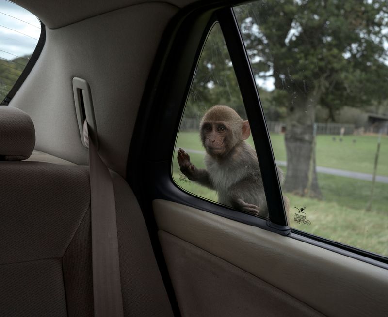 © Zed Nelson - ©Zed Nelson / from the series ‘The Anthropocene Illusion’