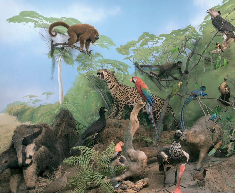 © Zed Nelson - ©Zed Nelson / from the series ‘The Anthropocene Illusion’