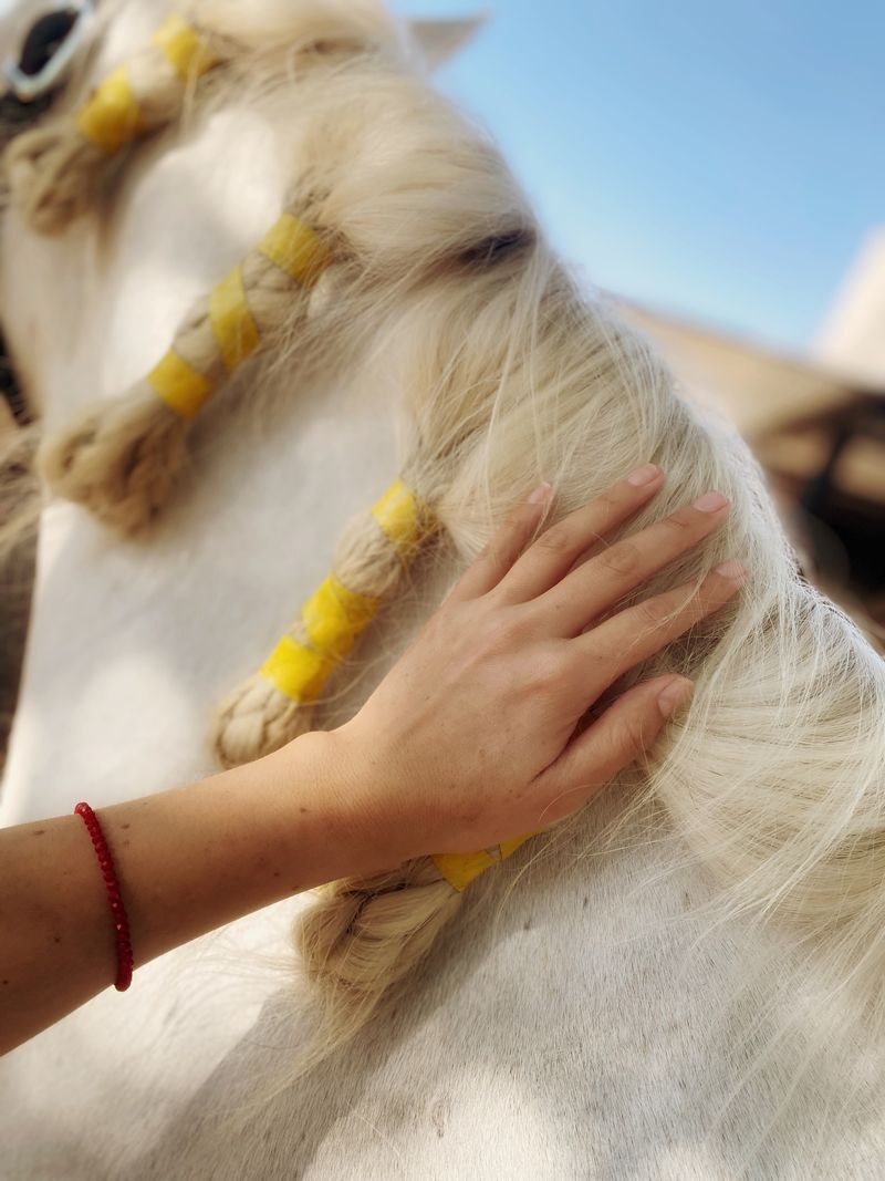 © VIRIDIANA - "Comala: Hand & Horse"
