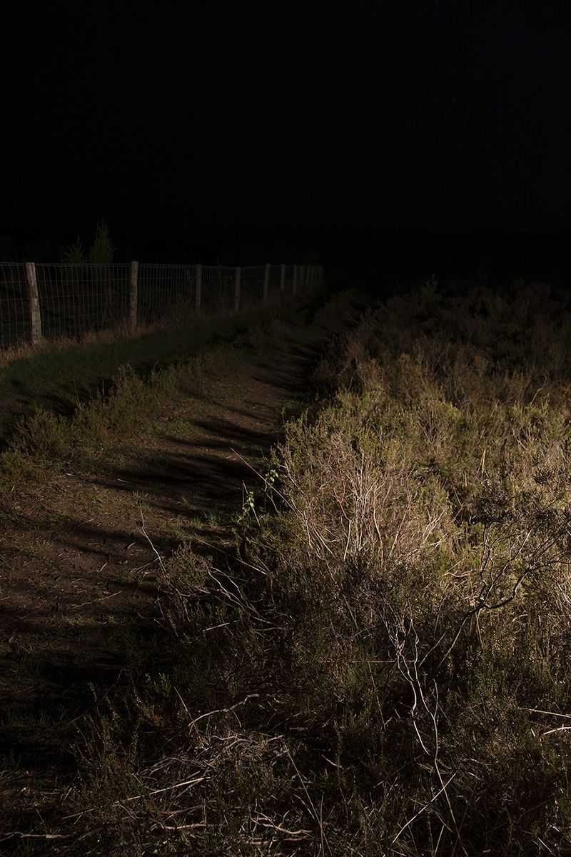 © Sophie Gilkens - Image from the ZEVENTIENTWAALF (seventeen-twelve) photography project