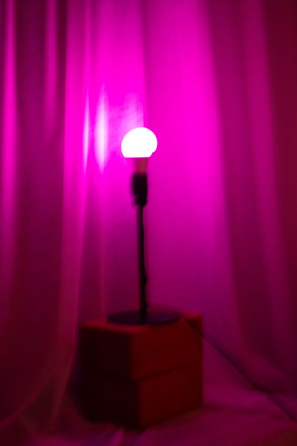© Sophie Gilkens - Image from the Je fais ce que je fais photography project