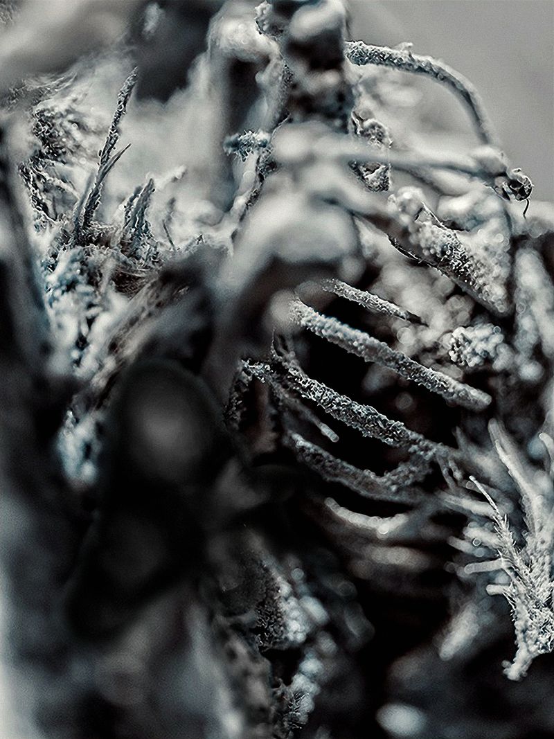 © Mari Masouridou - Image from the The Nameless Dread photography project