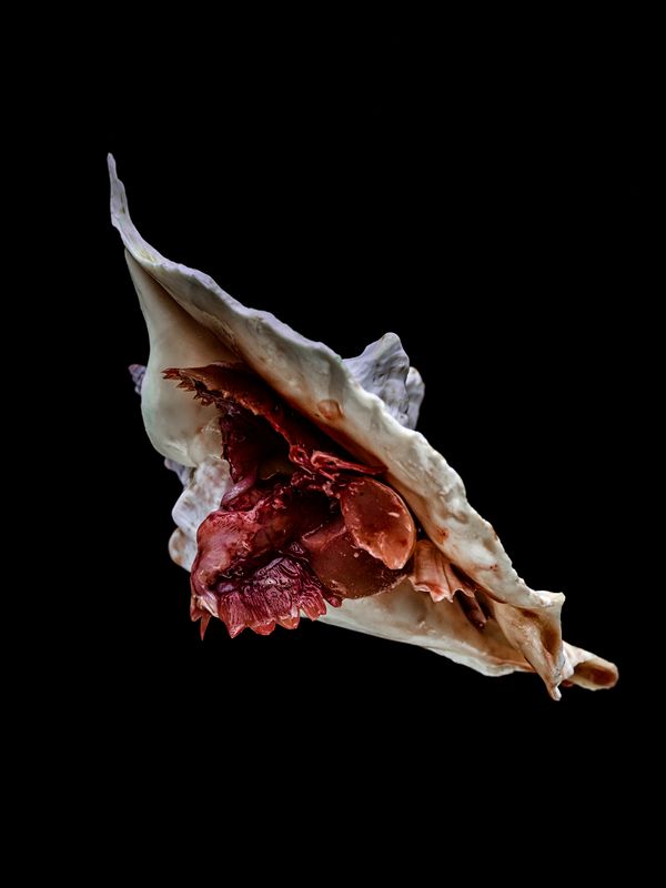 © Mari Masouridou - Image from the The Nameless Dread photography project