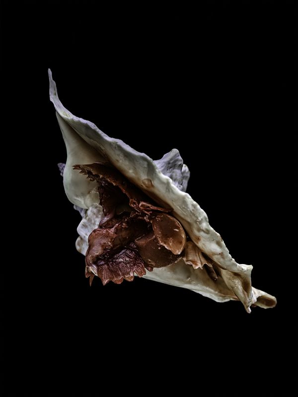 © Mari Masouridou - Image from the The Nameless Dread photography project