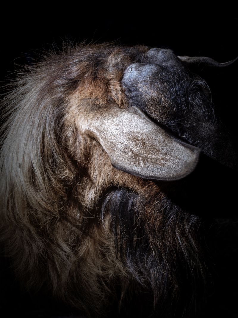 © Mari Masouridou - Image from the The Nameless Dread photography project