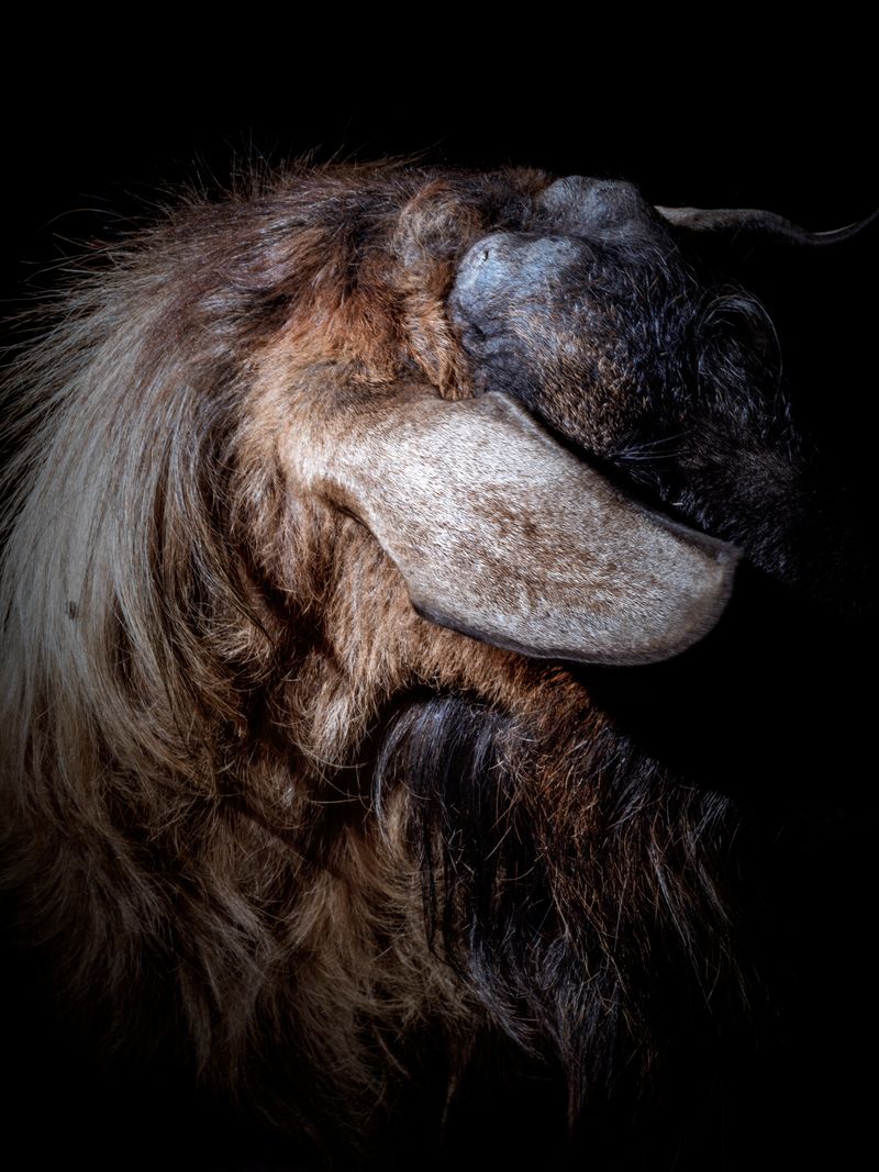 © Mari Masouridou - Image from the The Nameless Dread photography project