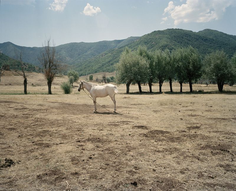 © Miriam Stanke - Horse of a nomad family waiting for watering.