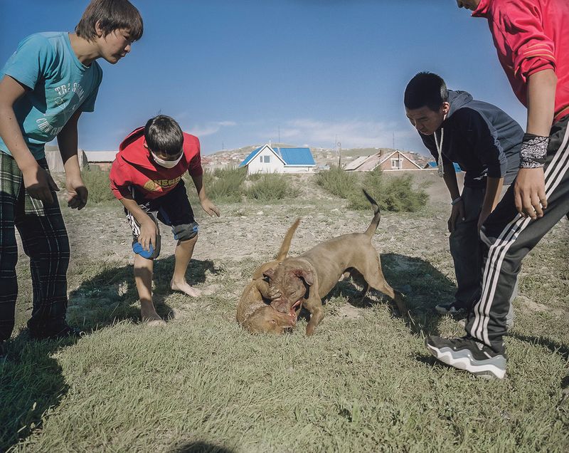 © Artur Alan Willmann - Image from the Landscape with a plastic horse photography project