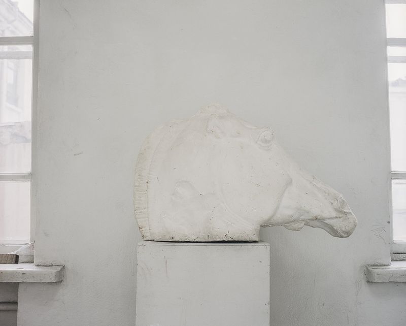 © Artur Alan Willmann - Image from the Landscape with a plastic horse photography project
