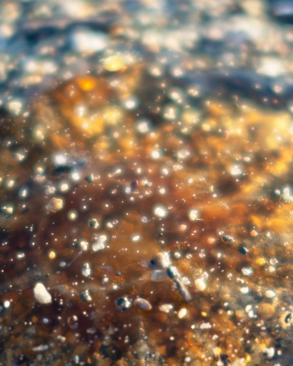 © Elizabeth McGrady - Image from the The Veil is Thin photography project