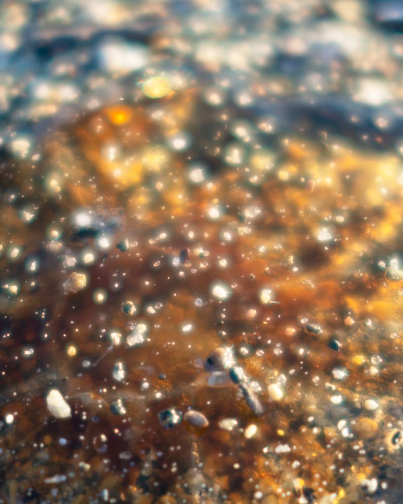 © Elizabeth McGrady - Image from the The Veil is Thin photography project