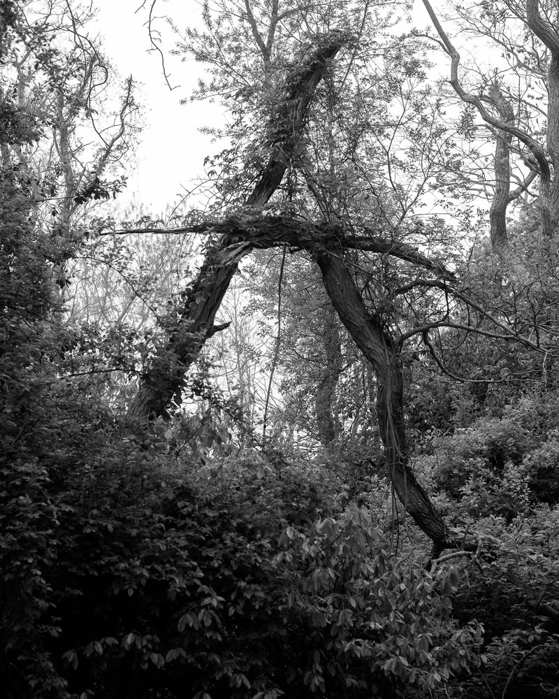 © Elizabeth McGrady - Image from the The Veil is Thin photography project