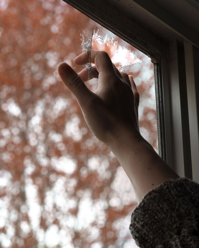 © Elizabeth McGrady - Image from the The Veil is Thin photography project