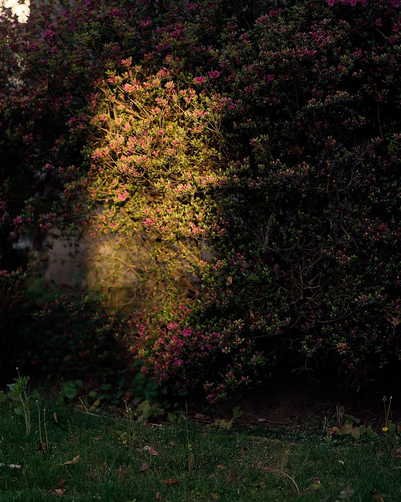 © Elizabeth McGrady - Image from the The Veil is Thin photography project